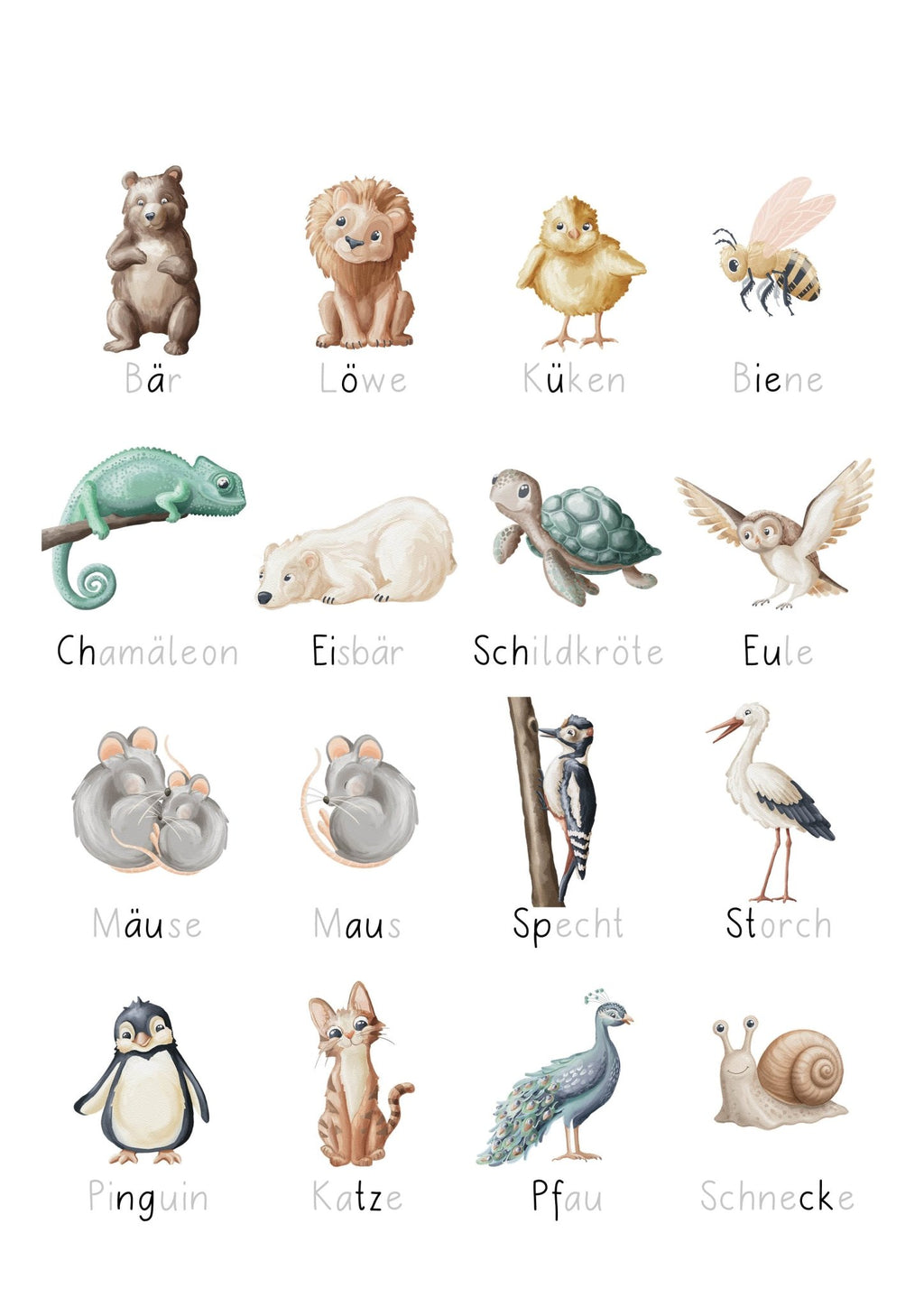 ABC Tiere & Pflanzen Cliparts für Unterrichtsmaterial | PNG & Ausmalbilder - Unterrichtsmaterial - lehrreich.ch